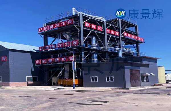 我需要采購(gòu)mvr蒸發(fā)器，能處理硫酸鈉和硫酸銨廢水，一天300噸，有哪些廠家可以推薦給我