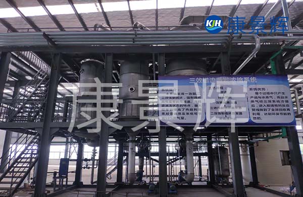 多效降膜蒸發(fā)器可以用來濃縮處理廢水，特別適合處理牛奶、淀粉、葡萄糖等食品廠廢水的加工處理中